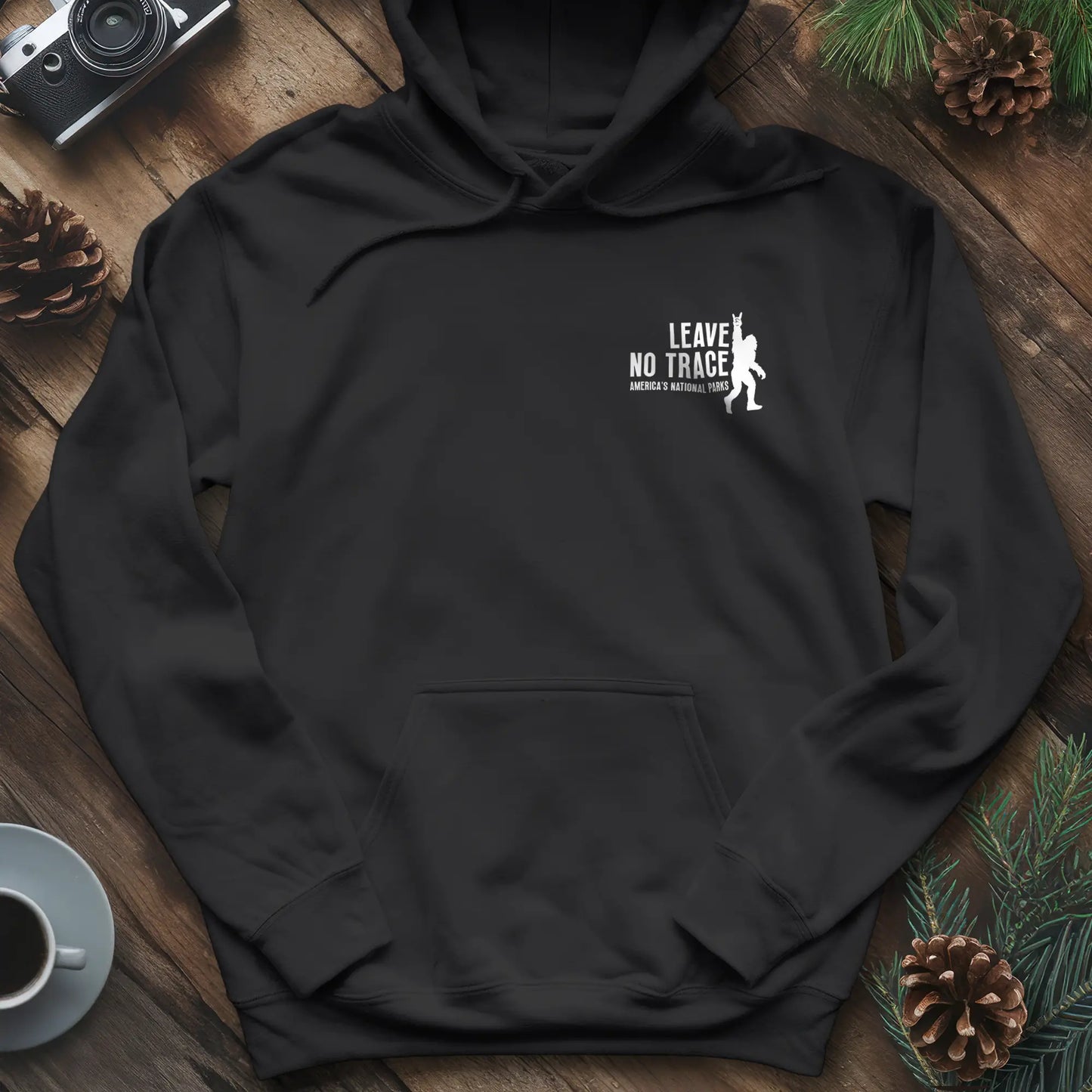 Leave No Trace Hoodie – Celebrate America's National Parks