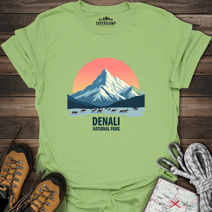 Denali National Park T-Shirt