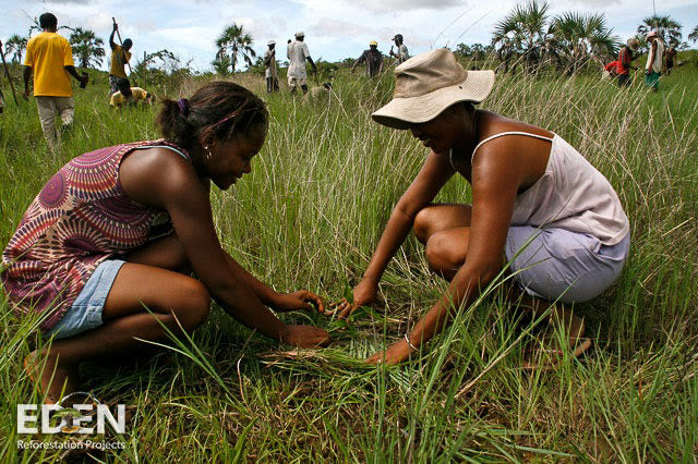 Plant 2 Trees for Just $1 - Make a Lasting Impact