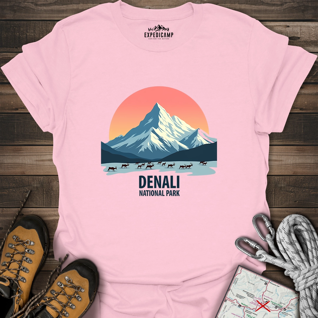 Denali National Park T-Shirt