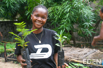 Plant 2 Trees for Just $1 - Make a Lasting Impact