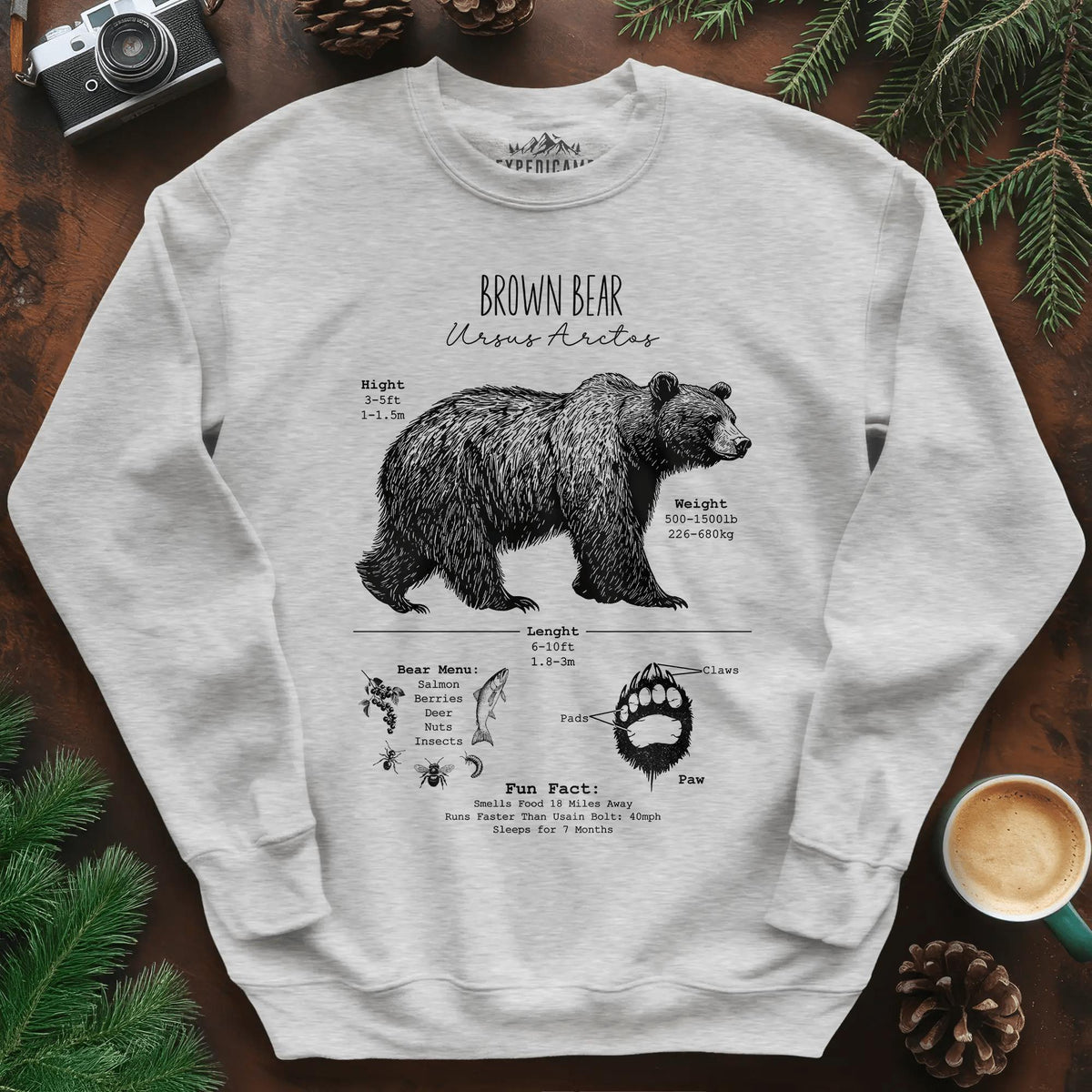 Brown Bear Anatomy Grizzly Biology Sweatshirt – Ash – Outdoor apparel for travel, hiking, camping, and nature lovers – ExpediCamp