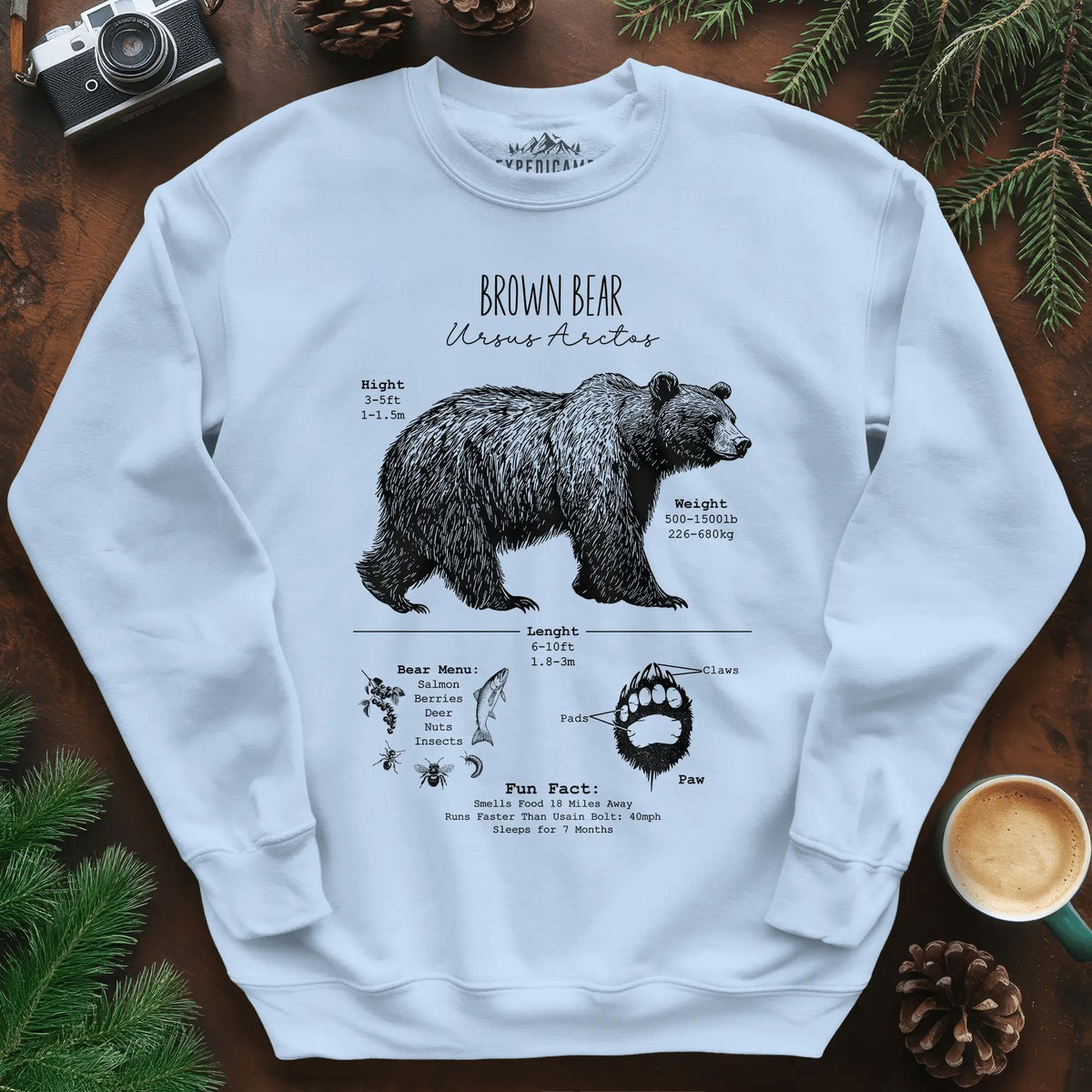 Brown Bear Anatomy Grizzly Biology Sweatshirt – Light Blue – Outdoor apparel for travel, hiking, camping, and nature lovers – ExpediCamp