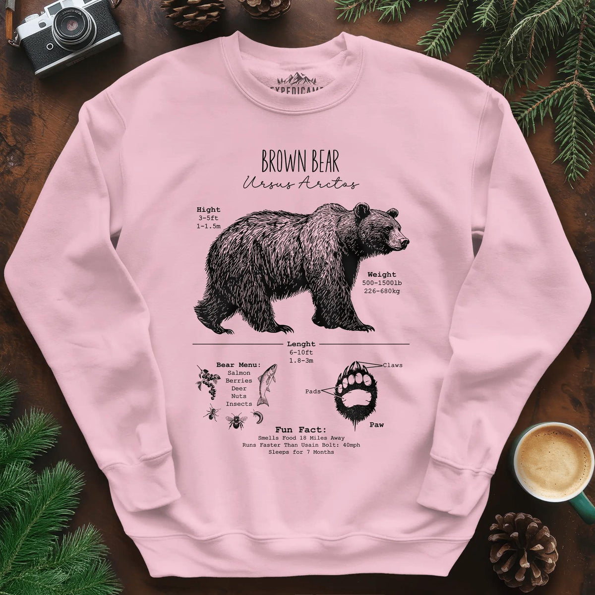 Brown Bear Anatomy Grizzly Biology Sweatshirt – Light Pink – Outdoor apparel for travel, hiking, camping, and nature lovers – ExpediCamp