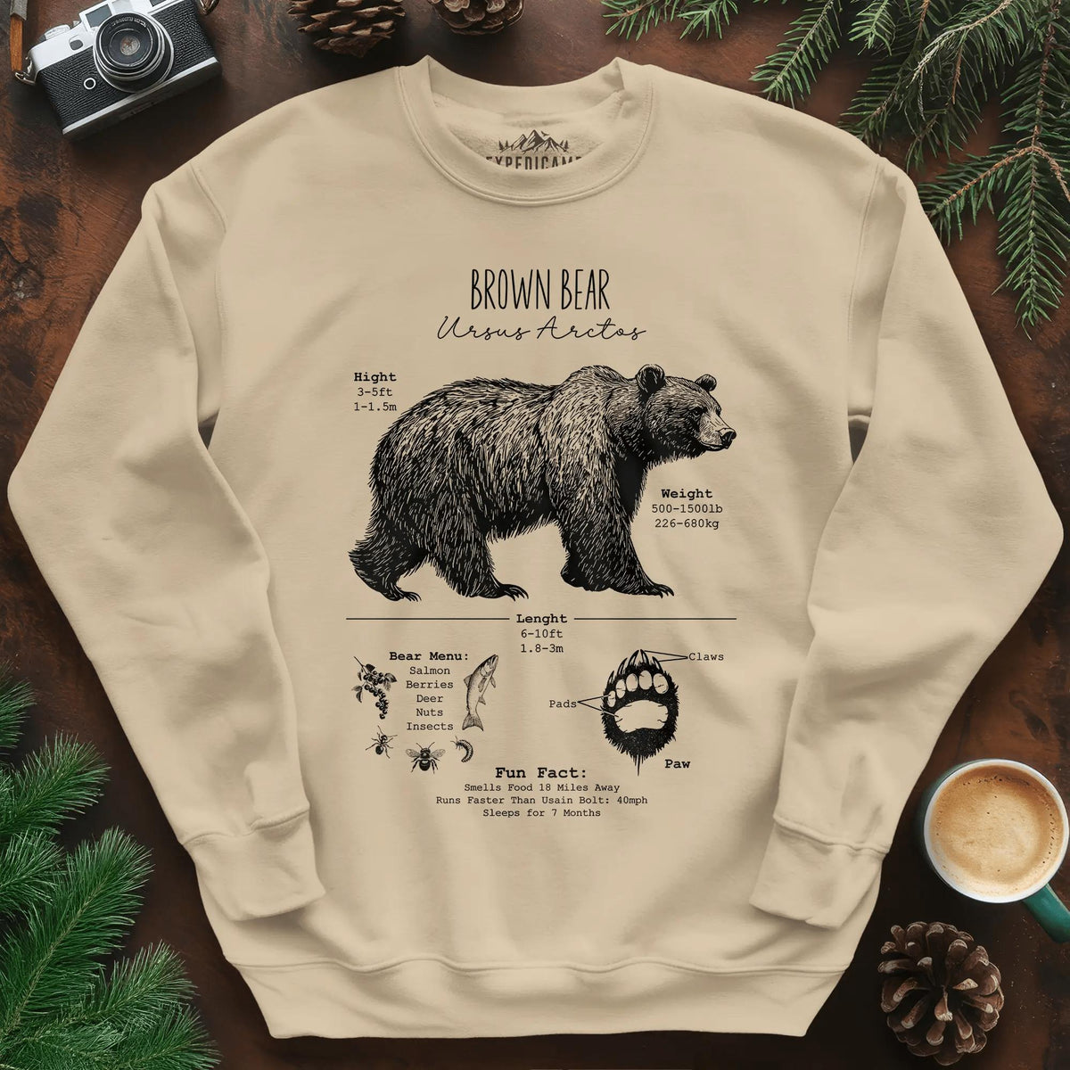 Brown Bear Anatomy Grizzly Biology Sweatshirt – Sand – Outdoor apparel for travel, hiking, camping, and nature lovers – ExpediCamp
