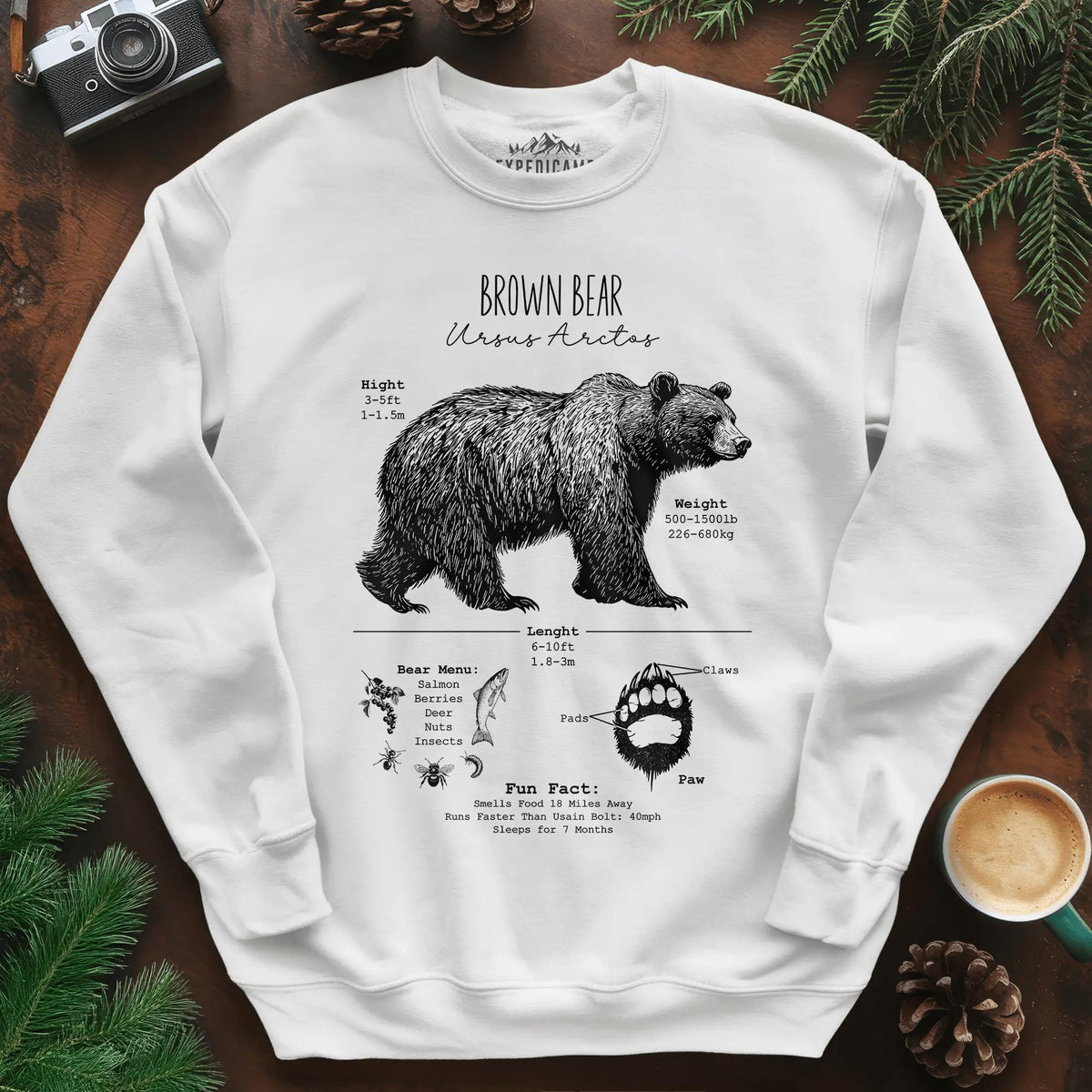 Brown Bear Anatomy Grizzly Biology Sweatshirt – White – Outdoor apparel for travel, hiking, camping, and nature lovers – ExpediCamp